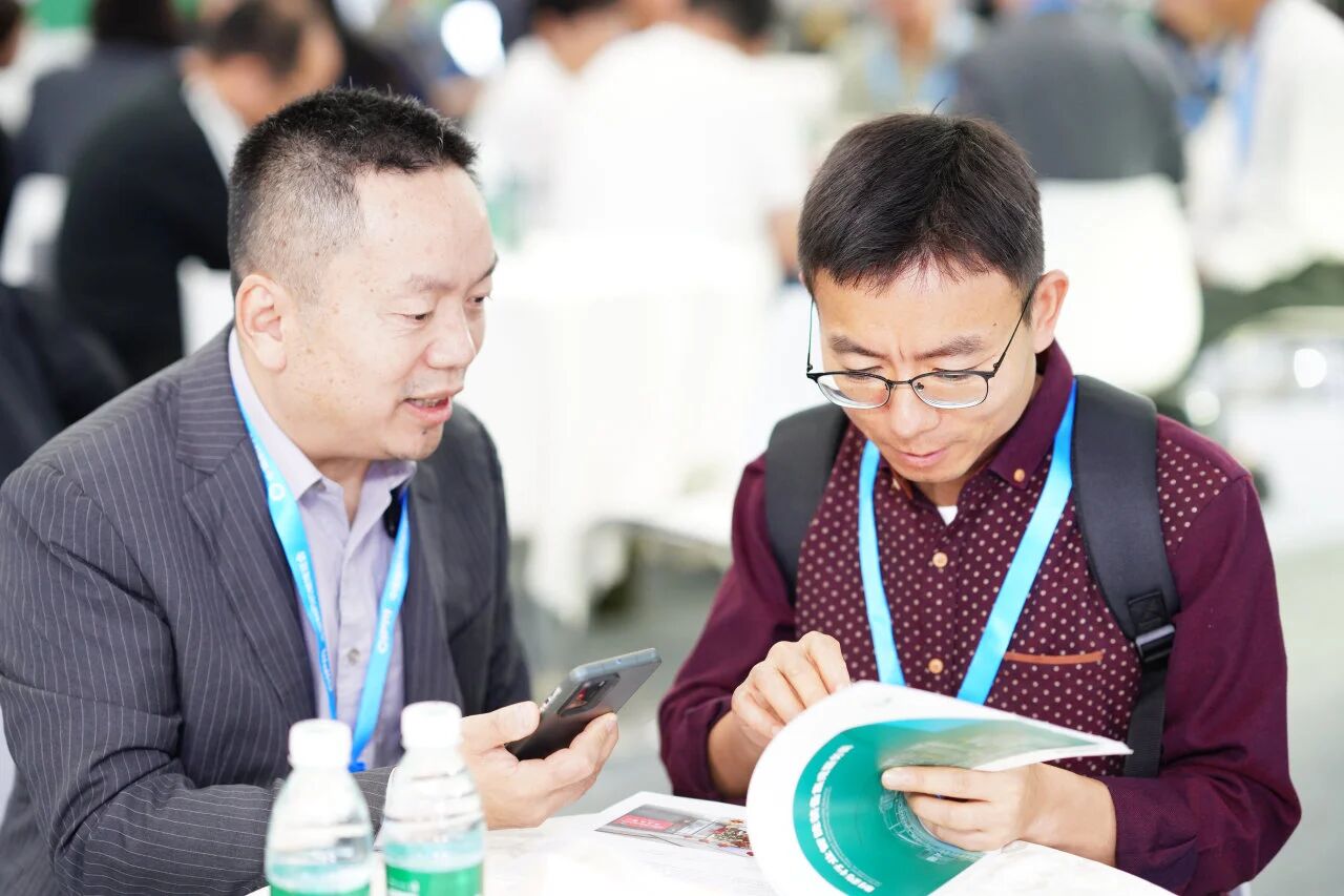 ����������(�й�)������-�й�����